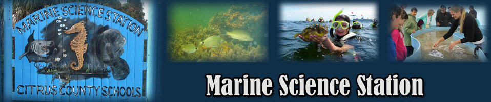 marine-science-station-header.jpg