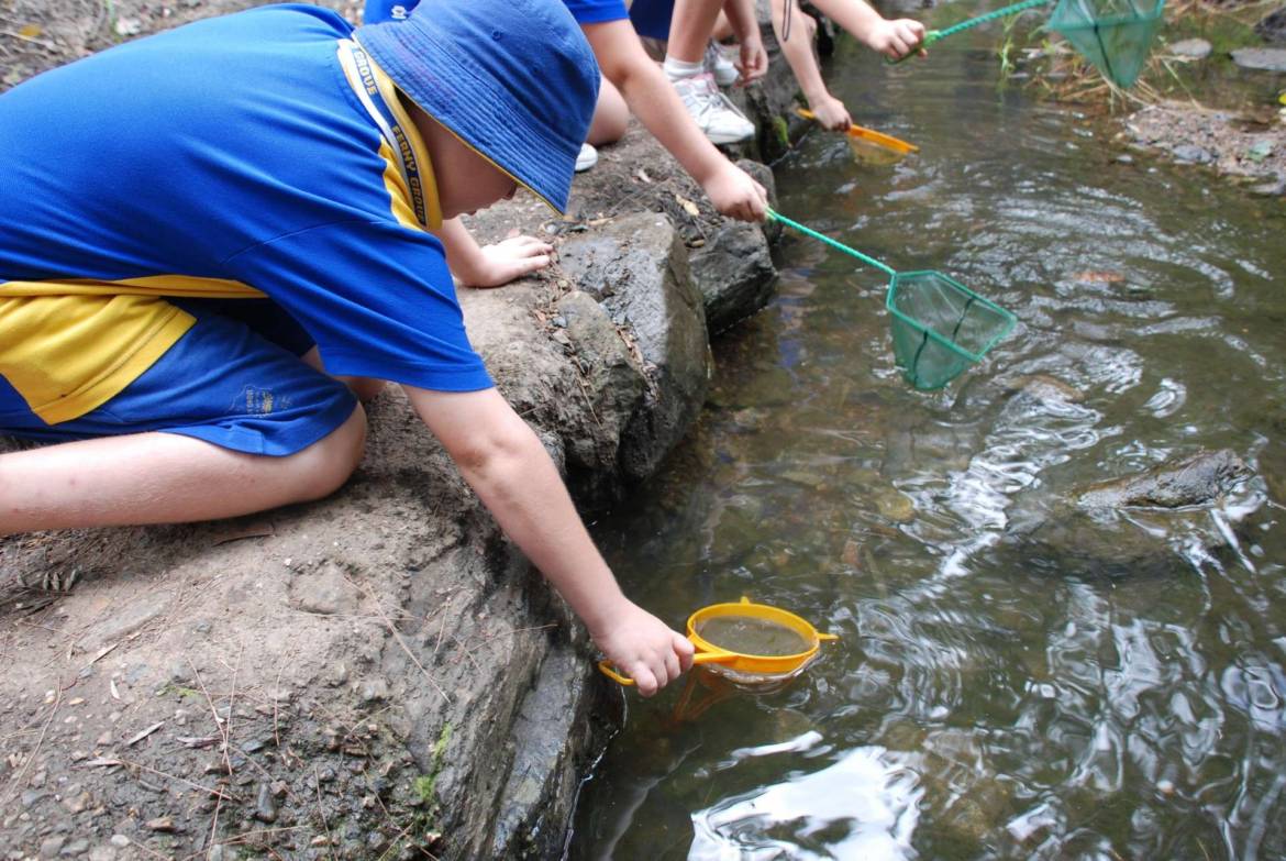 Boondall-Children-dipnetting.jpg