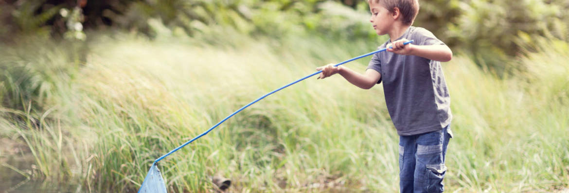 fish-net-slide.jpg