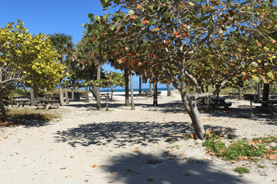 sea-grapes-picnic-tables.png