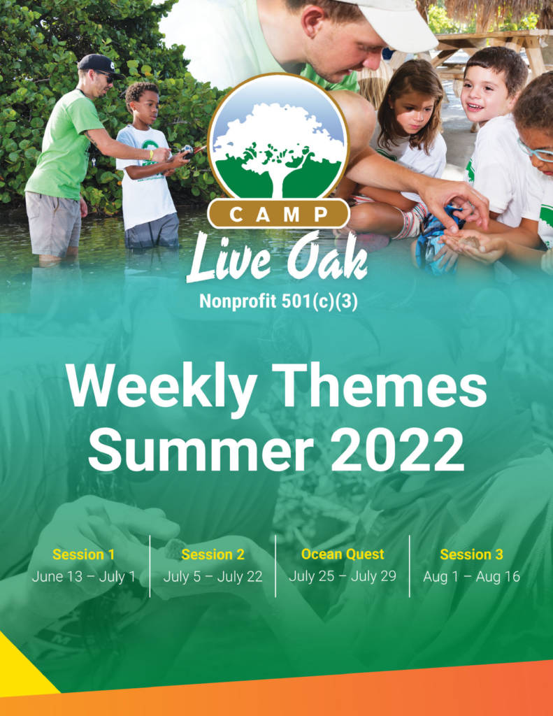 Camp Live Oak Summer Camp Located in Fort Lauderdale & Dania Beach